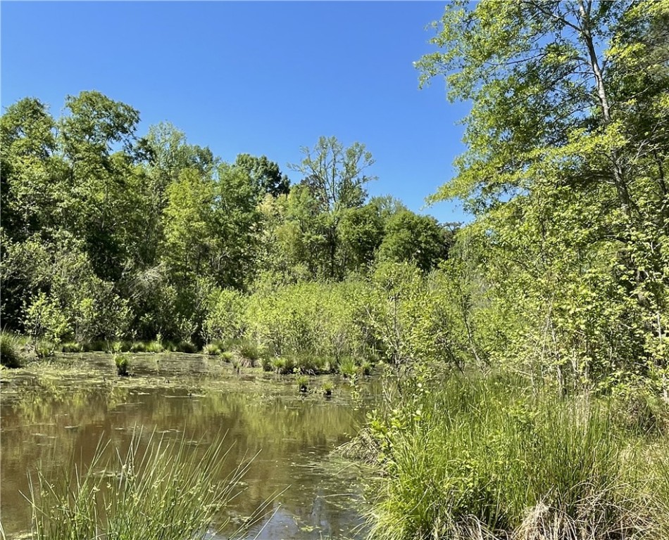 440 Mt. Carmel Road, Abbeville, South Carolina image 3