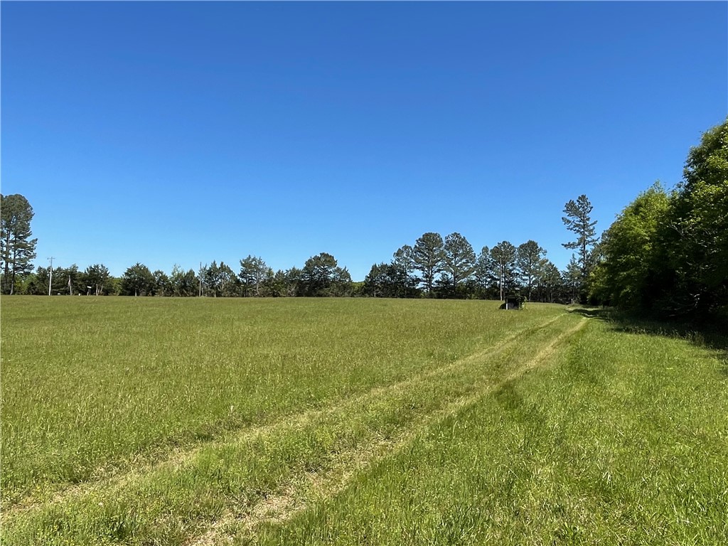440 Mt. Carmel Road, Abbeville, South Carolina image 18