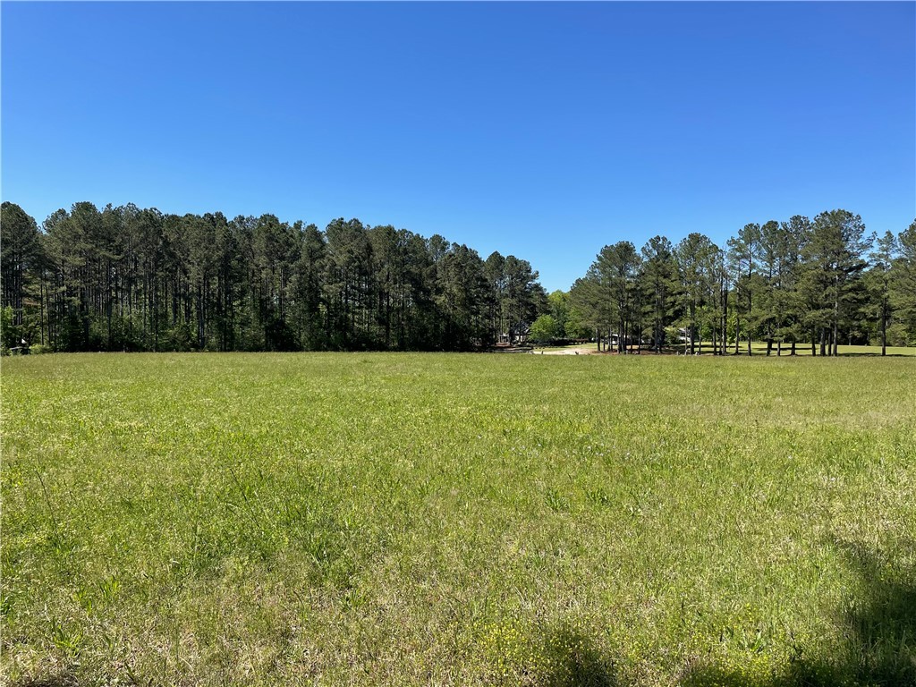 440 Mt. Carmel Road, Abbeville, South Carolina image 19