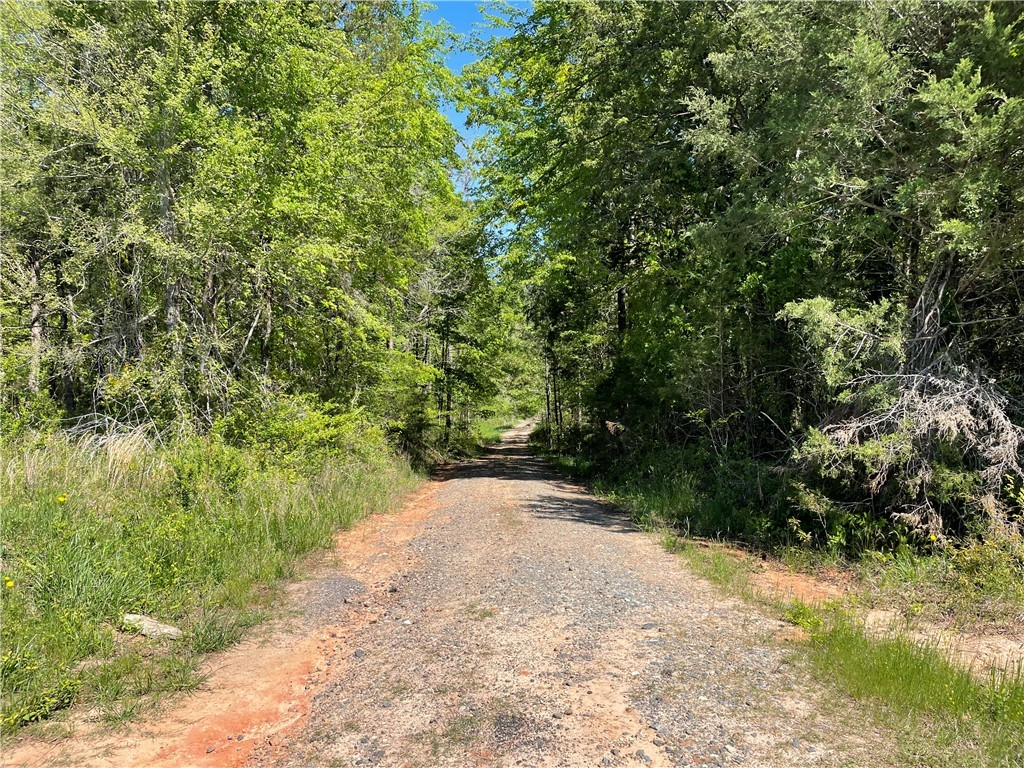 440 Mt. Carmel Road, Abbeville, South Carolina image 24