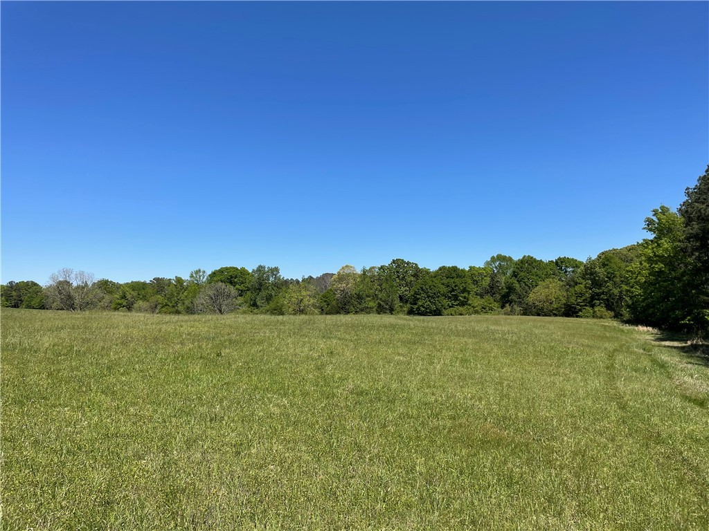 440 Mt. Carmel Road, Abbeville, South Carolina image 12