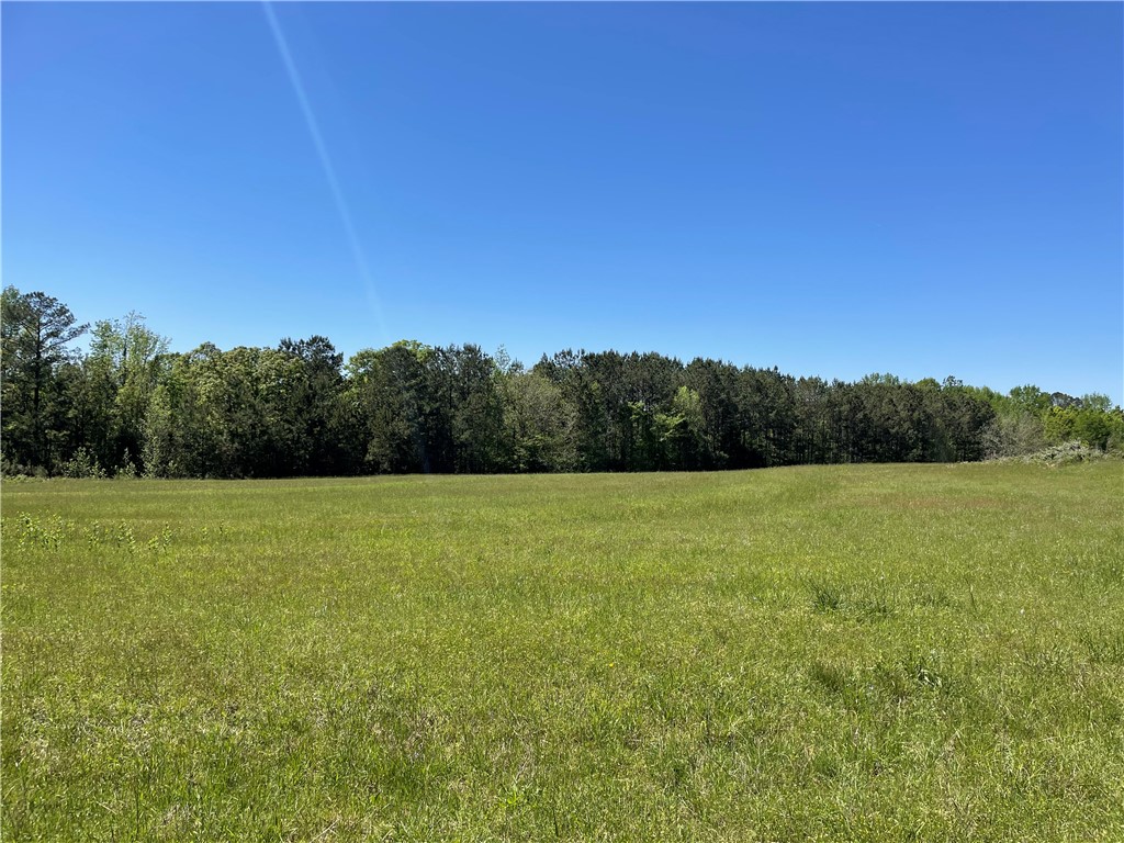 440 Mt. Carmel Road, Abbeville, South Carolina image 10