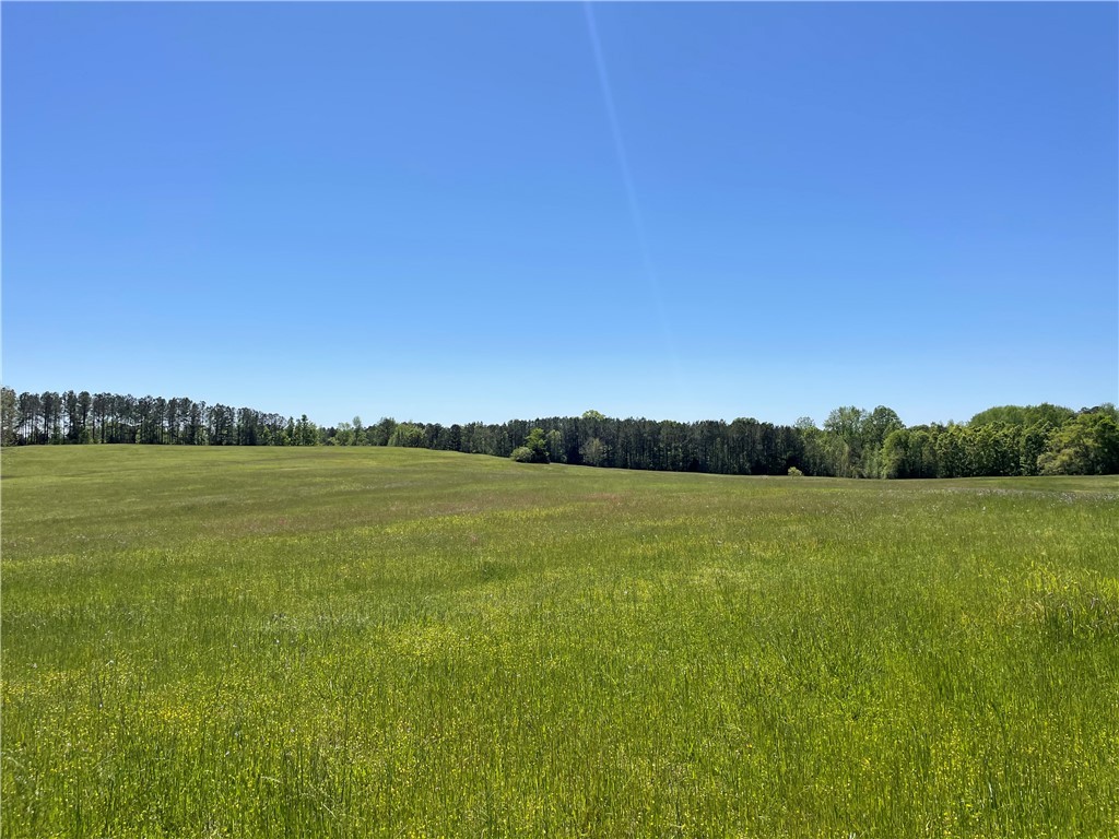 440 Mt. Carmel Road, Abbeville, South Carolina image 15