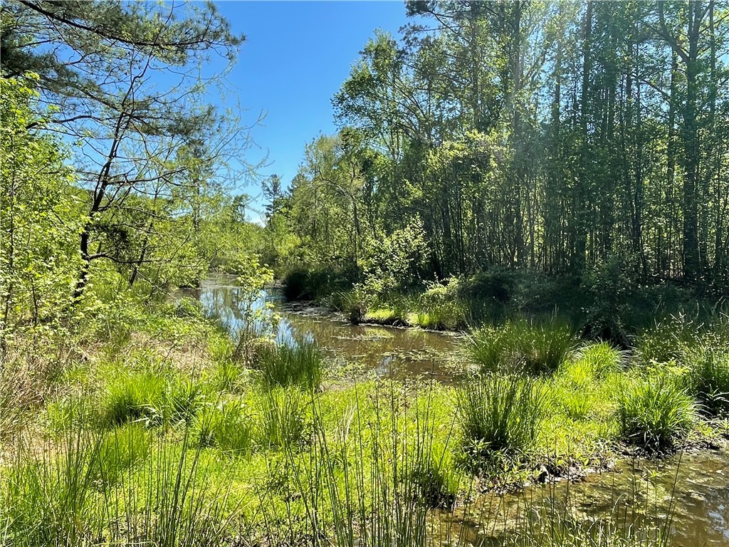 440 Mt. Carmel Road, Abbeville, South Carolina image 2