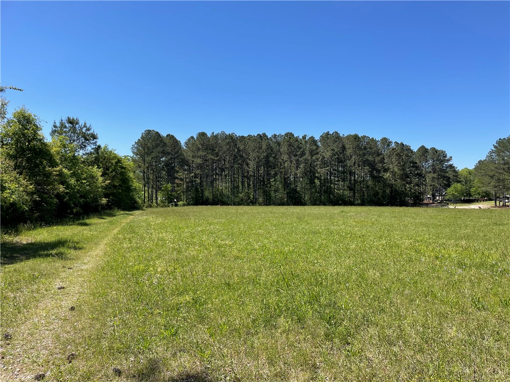 440 Mt. Carmel Road, Abbeville, South Carolina image 16