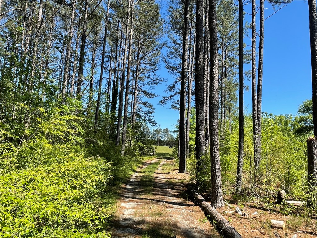 440 Mt. Carmel Road, Abbeville, South Carolina image 9