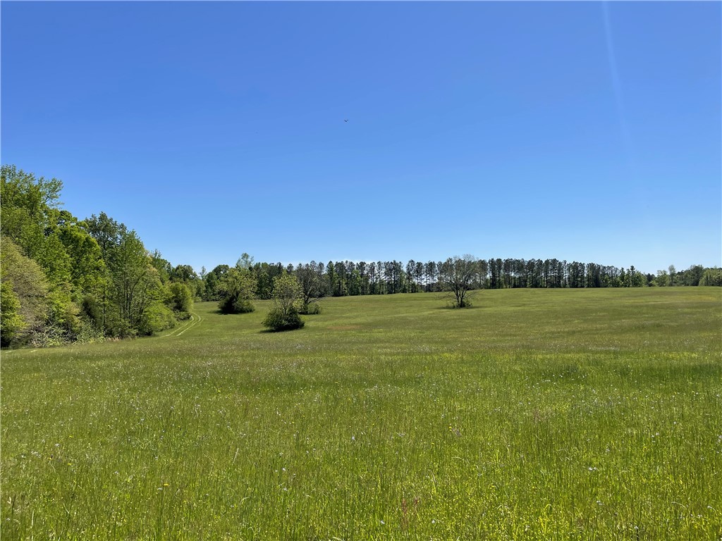 440 Mt. Carmel Road, Abbeville, South Carolina image 13