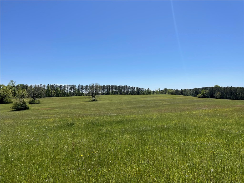 440 Mt. Carmel Road, Abbeville, South Carolina image 14
