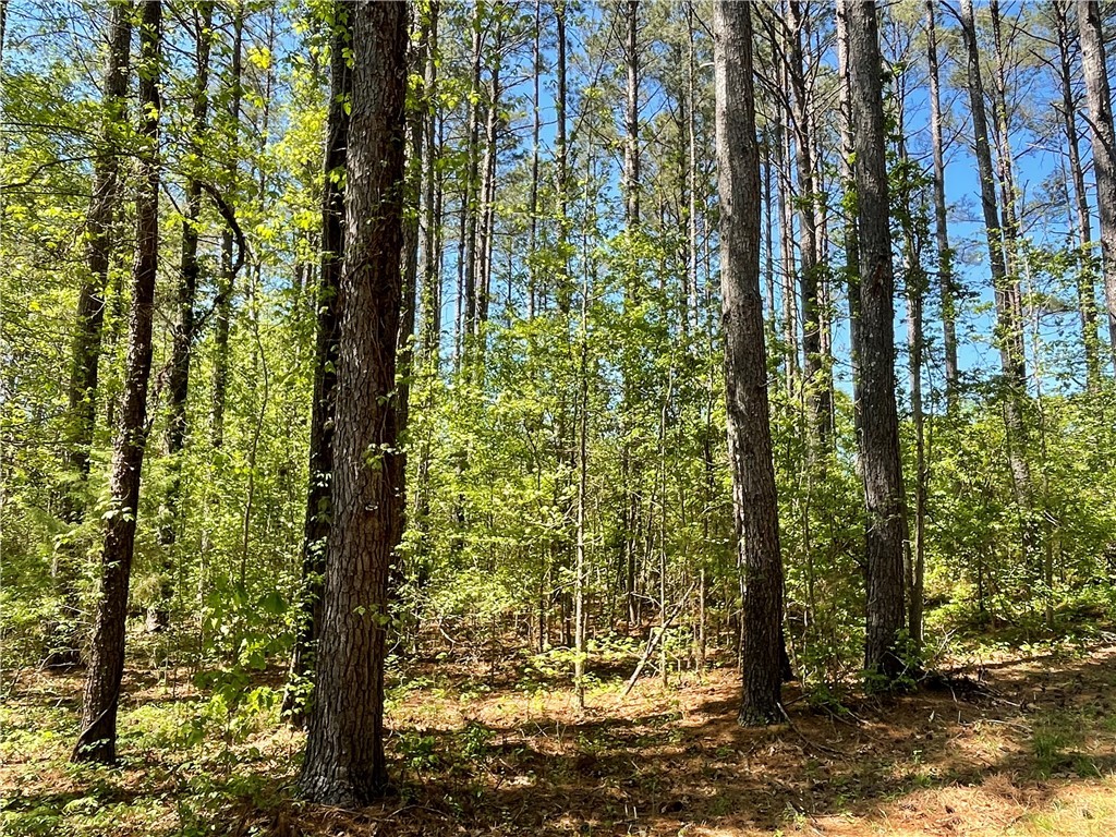 440 Mt. Carmel Road, Abbeville, South Carolina image 22