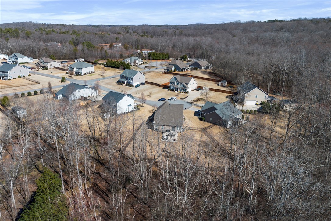 104 S Nickel Springs Drive, Easley, South Carolina image 38