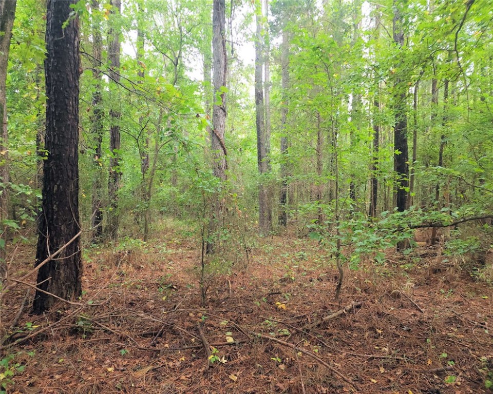 00 Bush River Road, Clinton, South Carolina image 9