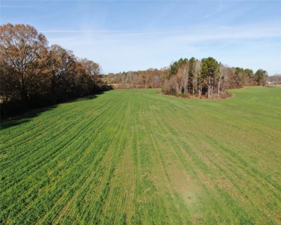 00 Bush River Road, Clinton, South Carolina image 6