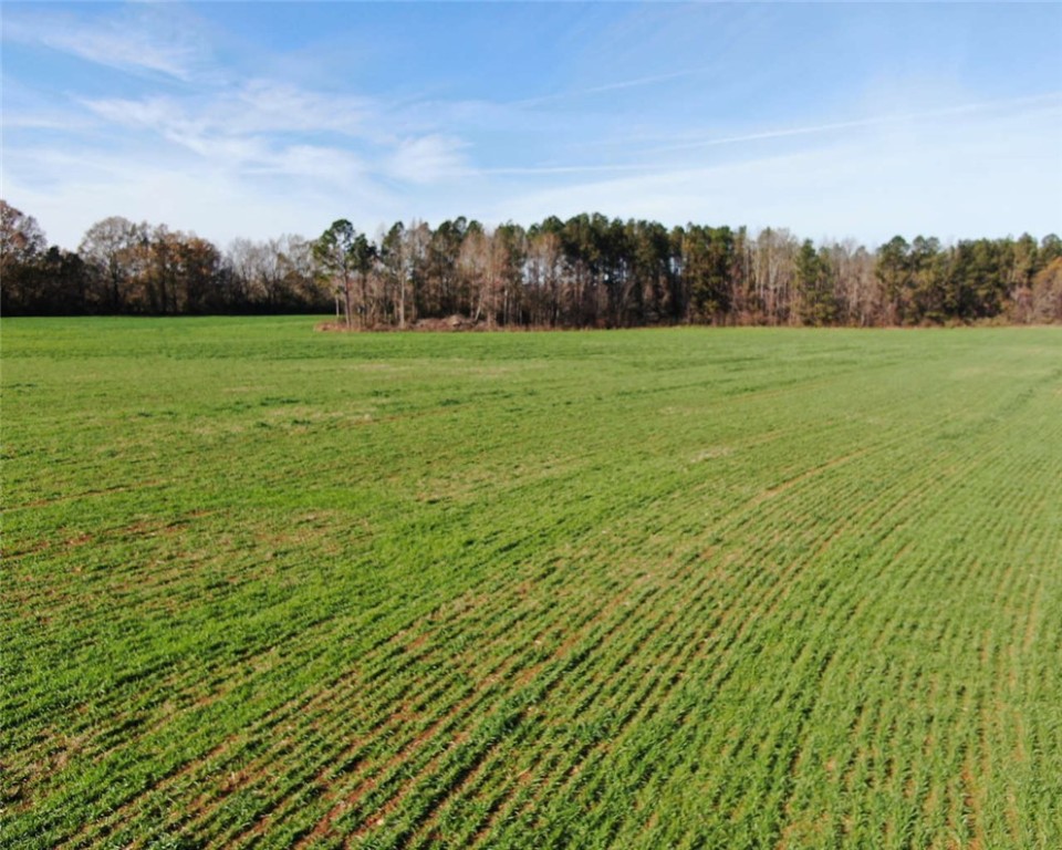 00 Bush River Road, Clinton, South Carolina image 4