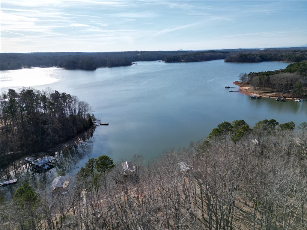 348 N Port Bass Drive, Fair Play, South Carolina image 5