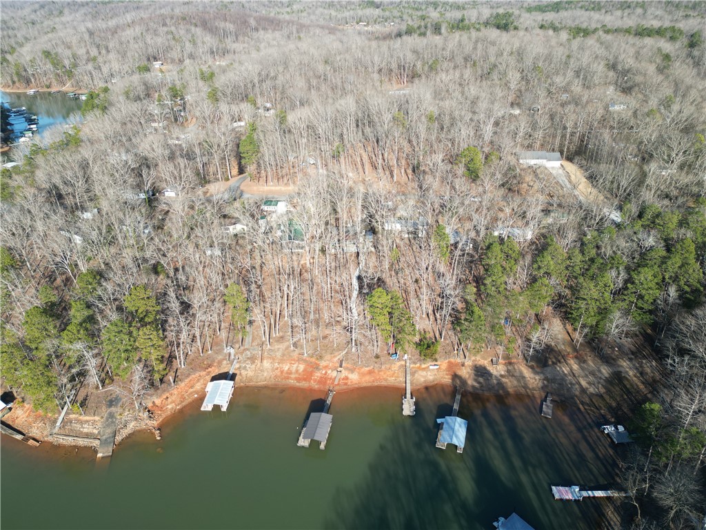 348 N Port Bass Drive, Fair Play, South Carolina image 8