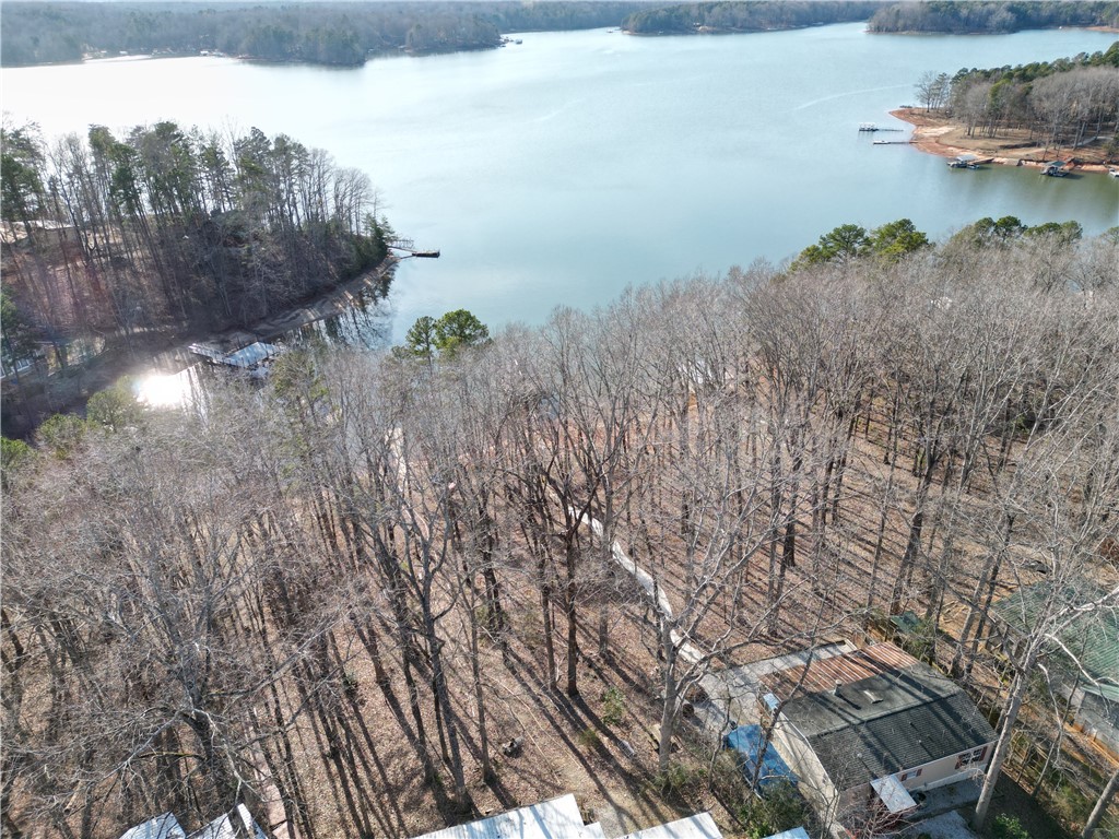 348 N Port Bass Drive, Fair Play, South Carolina image 14