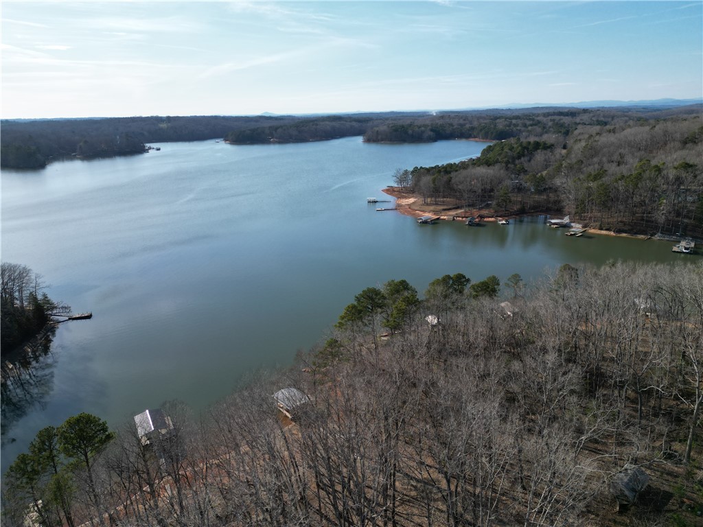 348 N Port Bass Drive, Fair Play, South Carolina image 6