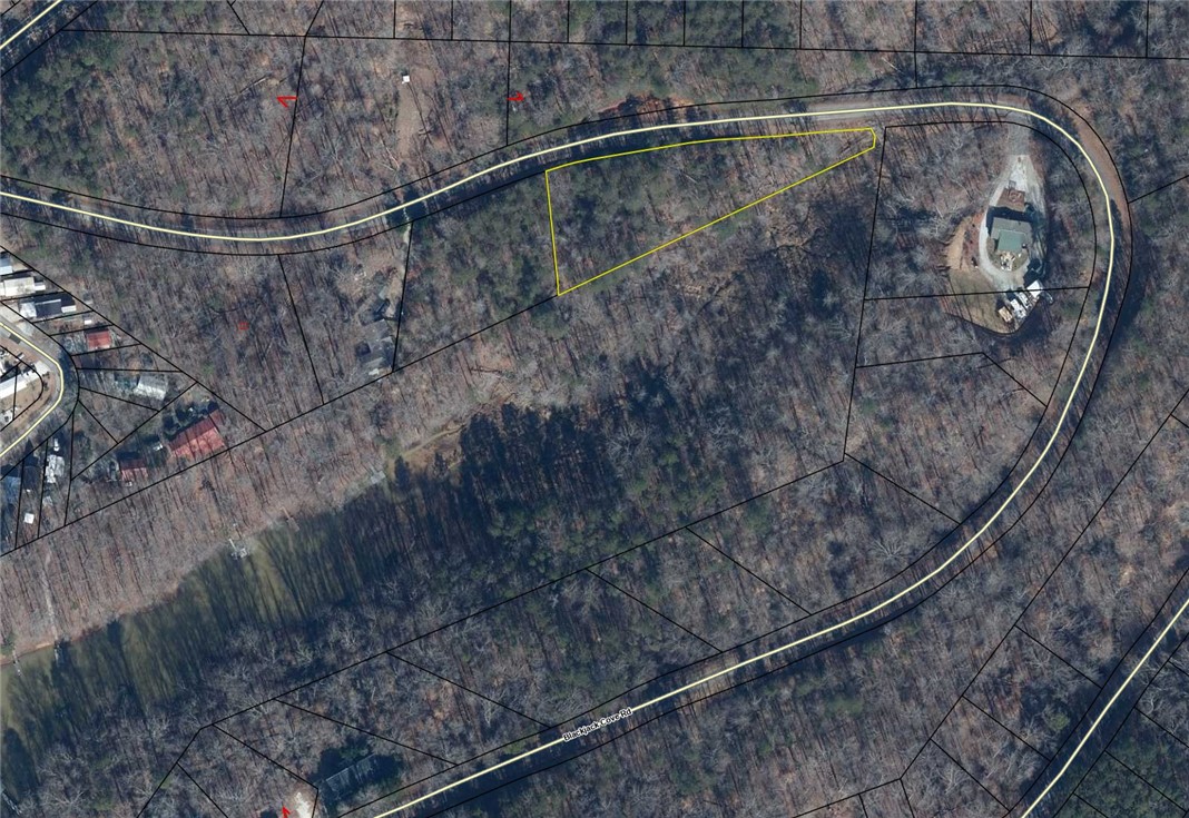 Lot 10 Blackjack Cove Road, Westminster, South Carolina image 6