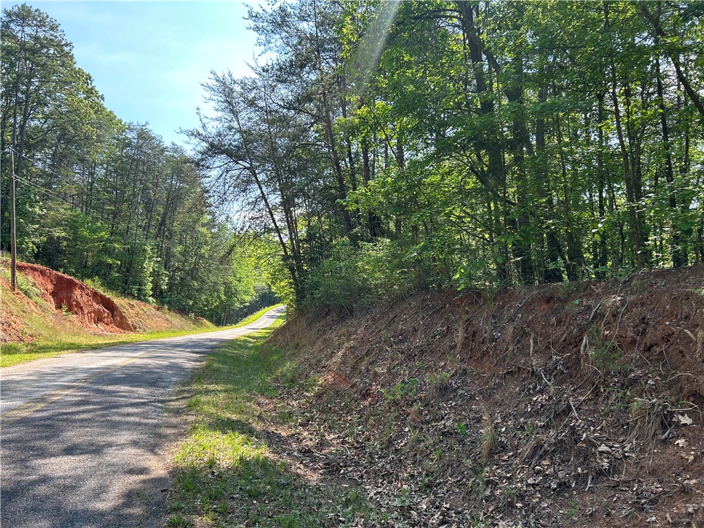 Lot 10 Blackjack Cove Road, Westminster, South Carolina image 5