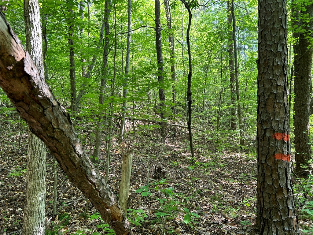 Lot 10 Blackjack Cove Road, Westminster, South Carolina image 2