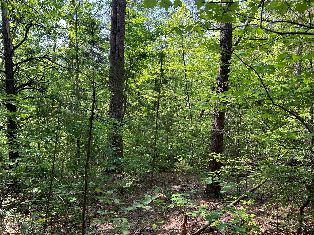 Lot 10 Blackjack Cove Road, Westminster, South Carolina image 3