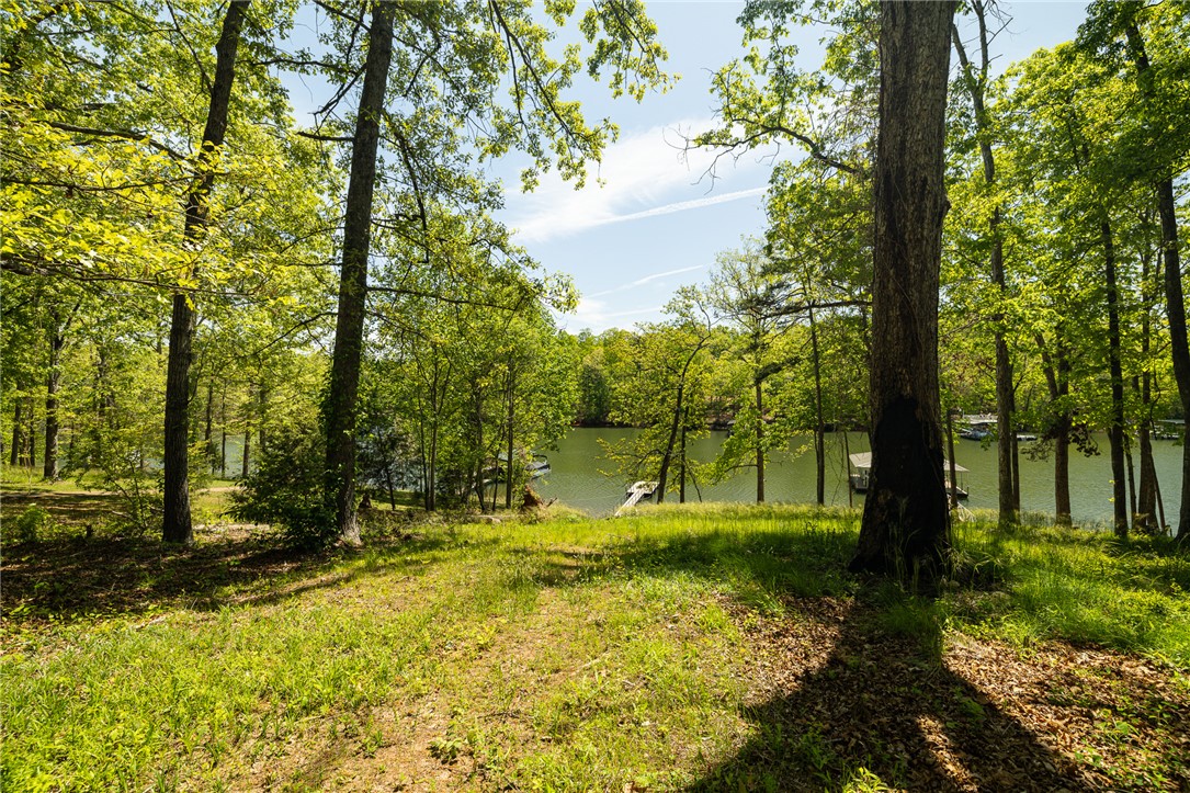 802 Dogwood Lane, Townville, South Carolina image 24