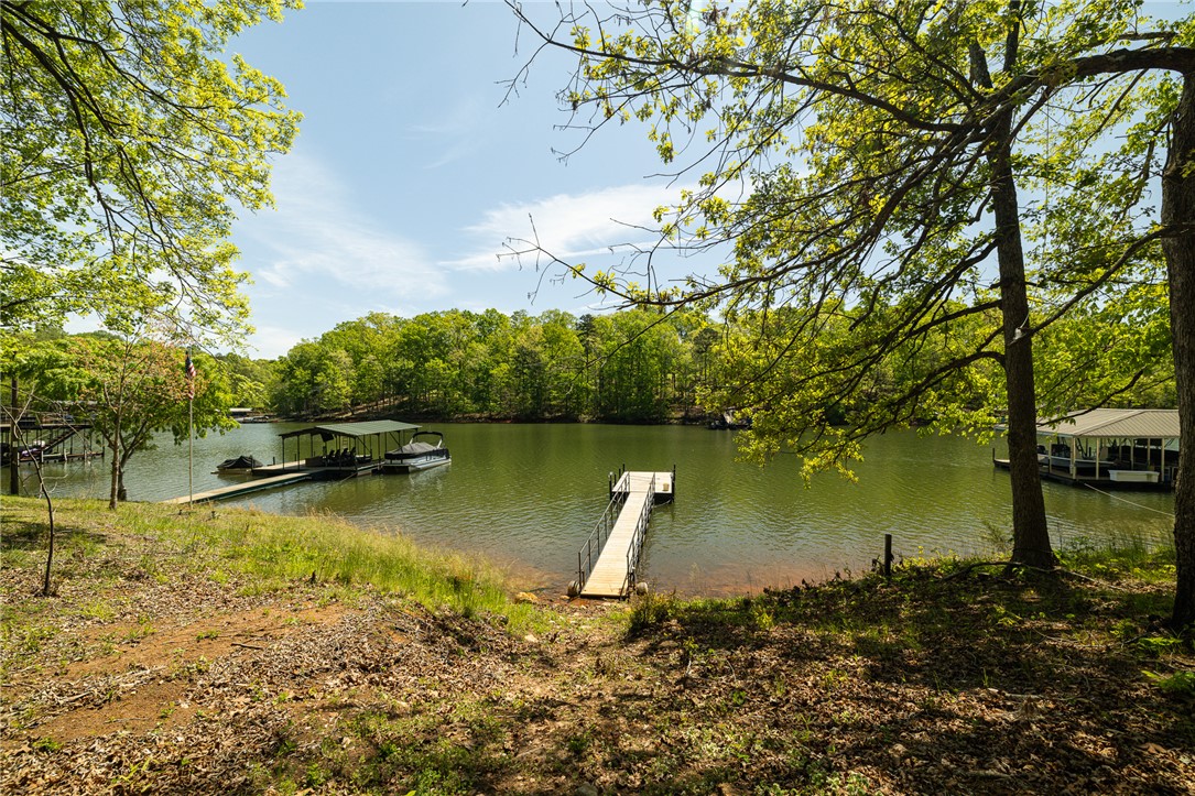 802 Dogwood Lane, Townville, South Carolina image 25