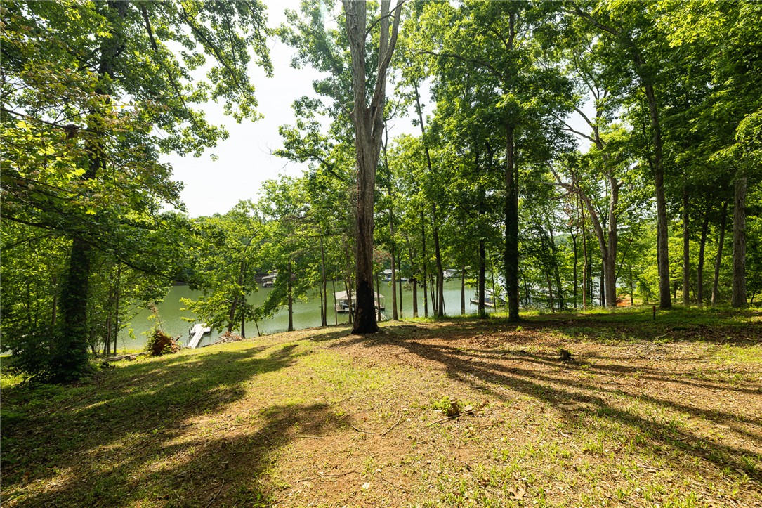 802 Dogwood Lane, Townville, South Carolina image 25