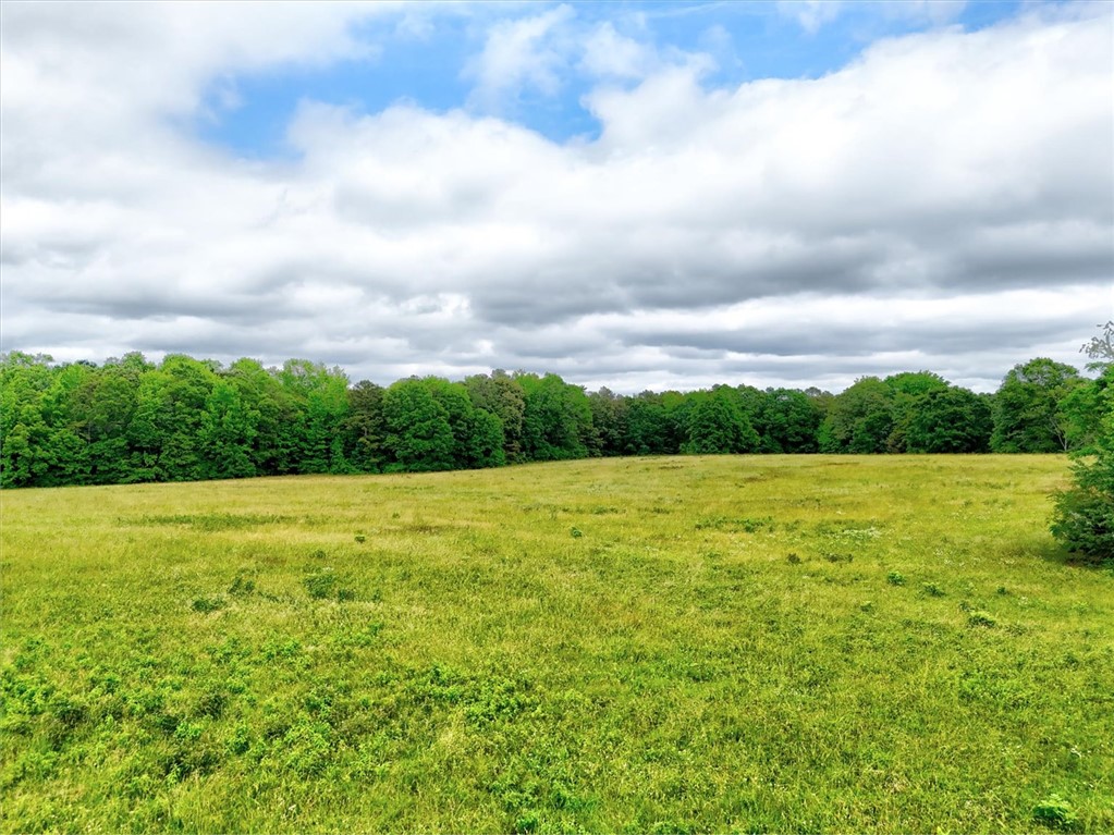 1411 Trail Road, Belton, South Carolina image 36