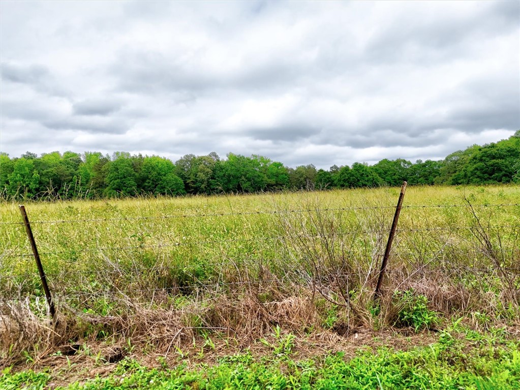 1411 Trail Road, Belton, South Carolina image 35