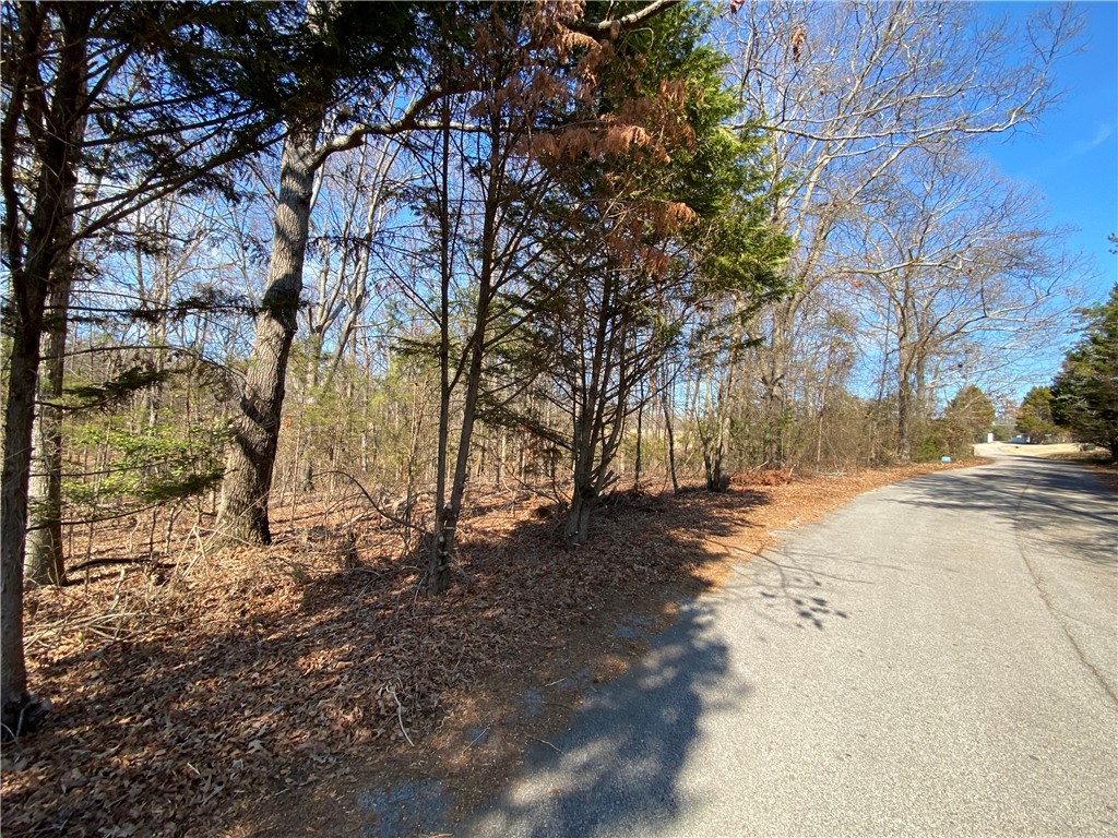 Lot 6 Majestic Shores Road, Hartwell, Georgia image 2