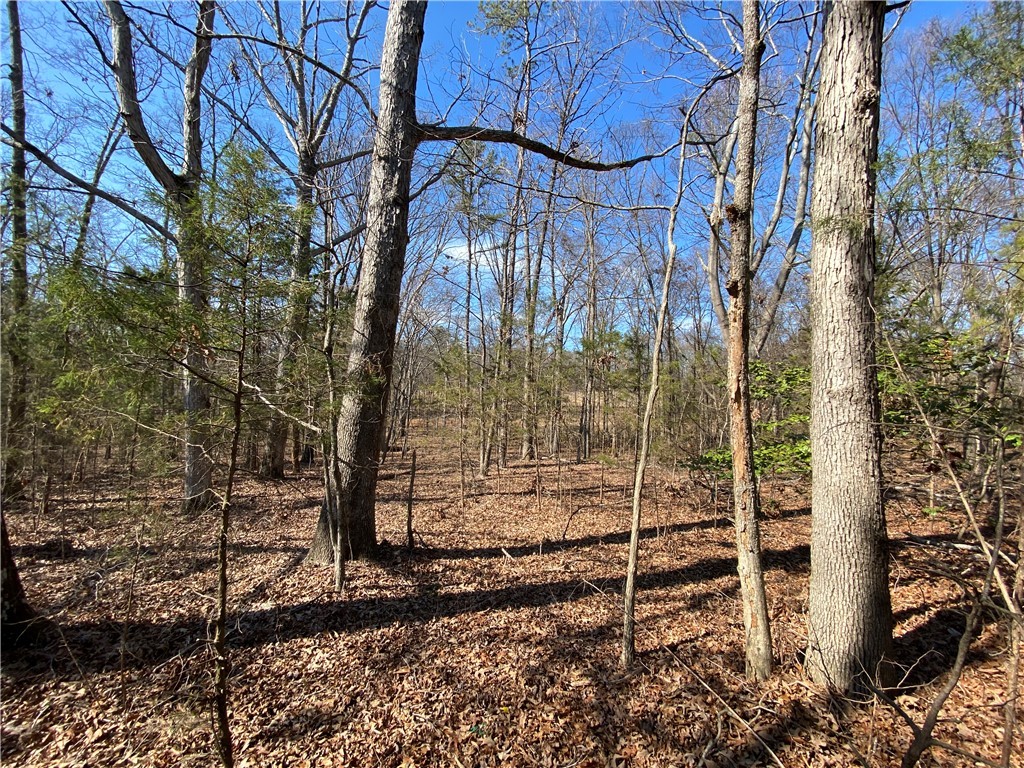 Lot 6 Majestic Shores Road, Hartwell, Georgia image 1