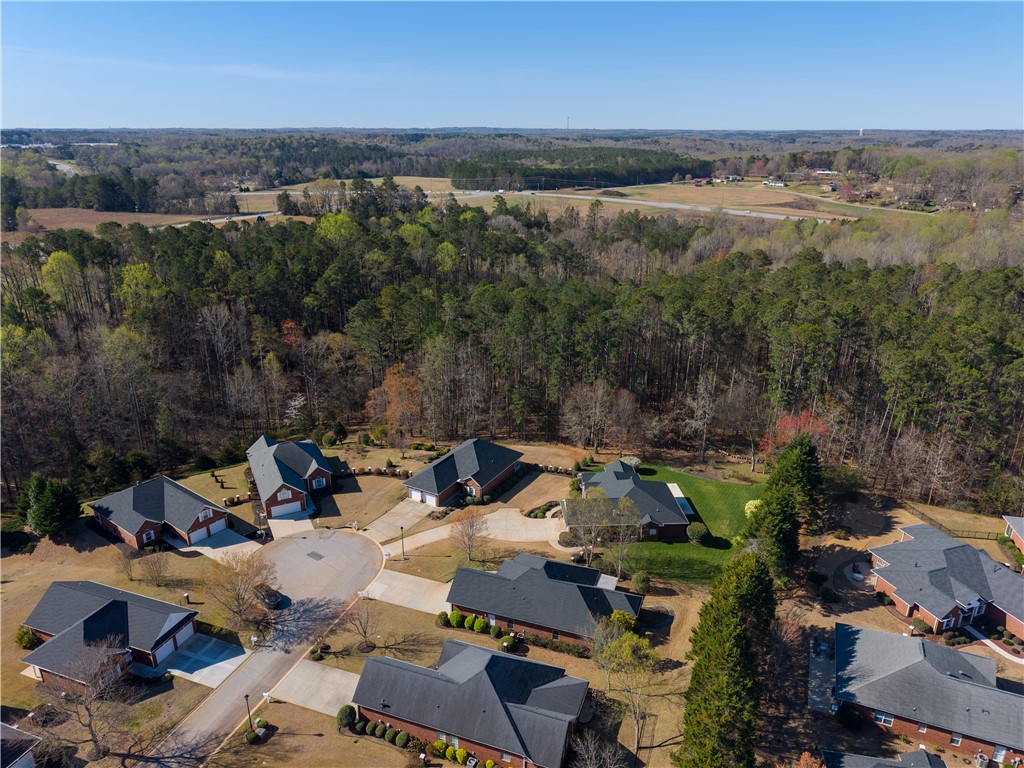 204 Steepleton Way, Seneca, South Carolina image 48