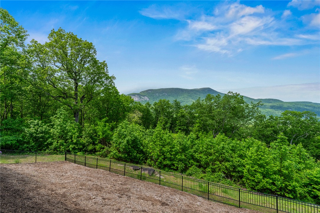 115 Harrier Lane, Landrum, South Carolina image 31
