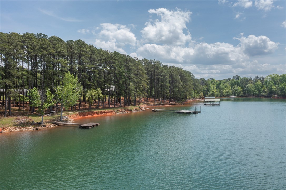 333 Lake Ridge Lane, Anderson, South Carolina image 37