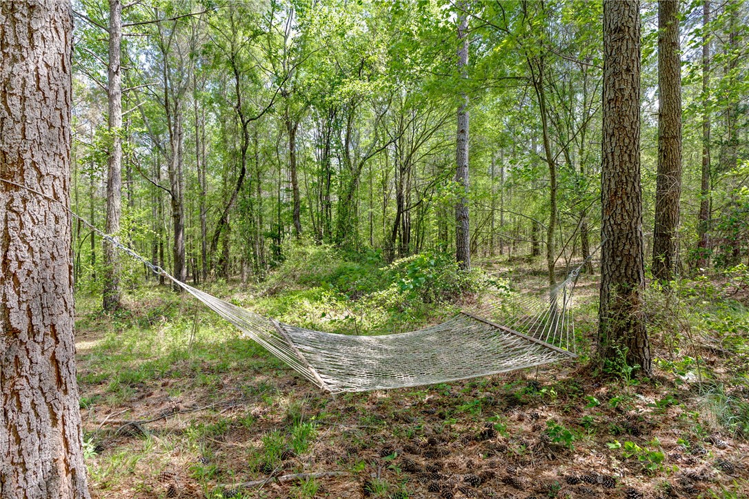630 Pickens Drive, Pendleton, South Carolina image 26