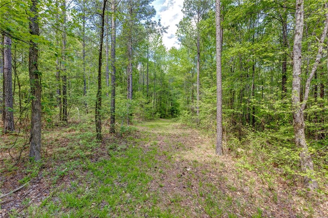 630 Pickens Drive, Pendleton, South Carolina image 29
