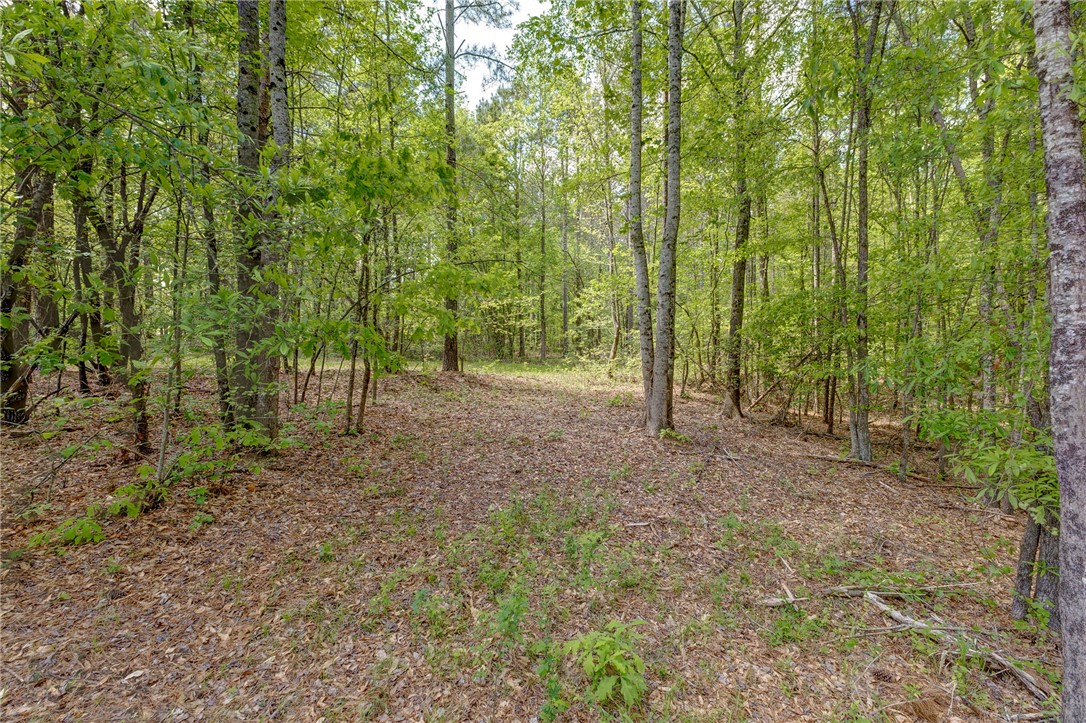630 Pickens Drive, Pendleton, South Carolina image 28
