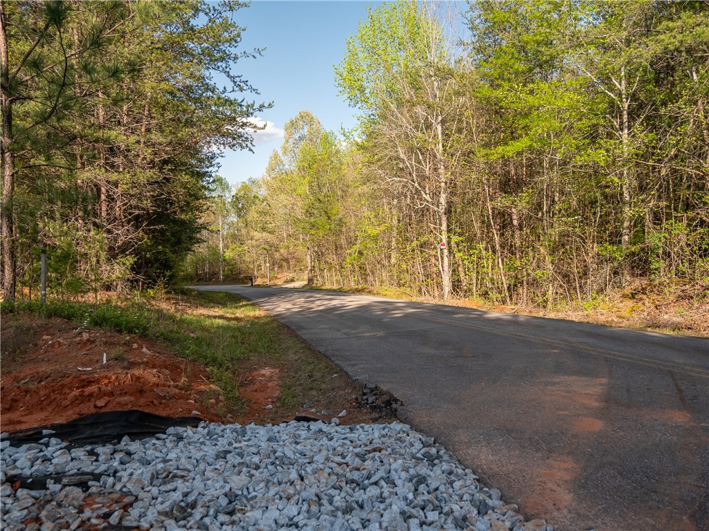 01 Hood Road, Easley, South Carolina image 17