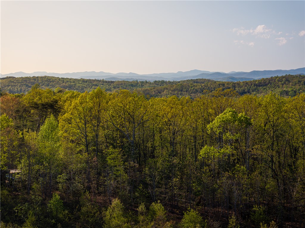 00 Hood Road, Easley, South Carolina image 35