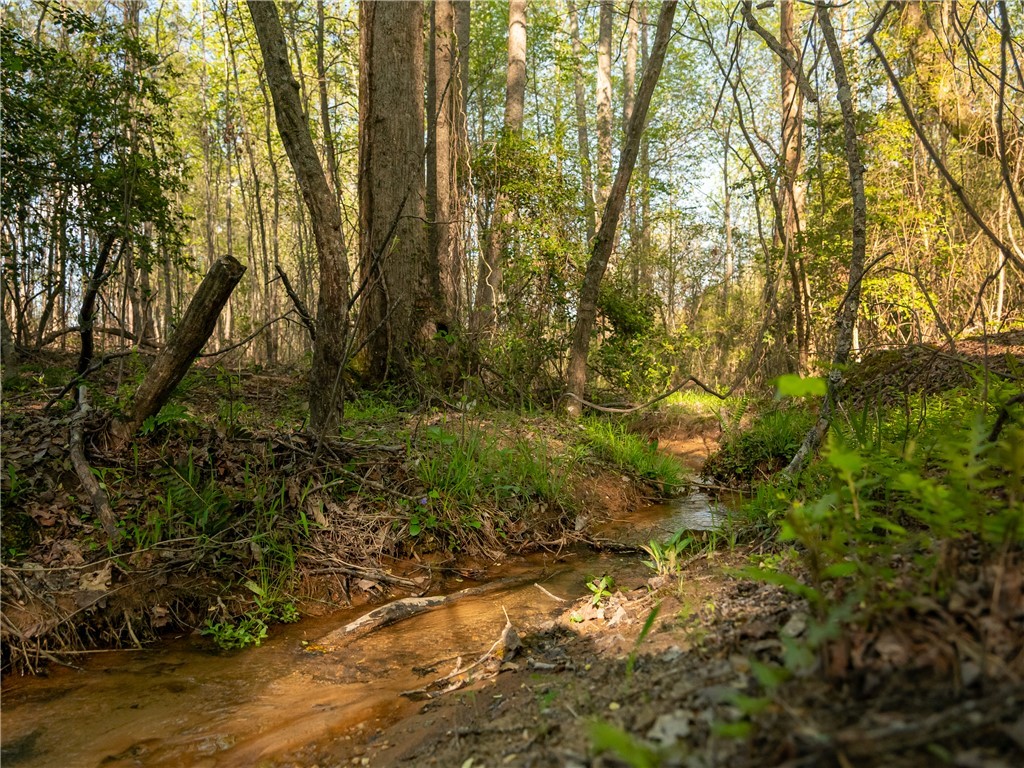 00 Hood Road, Easley, South Carolina image 21