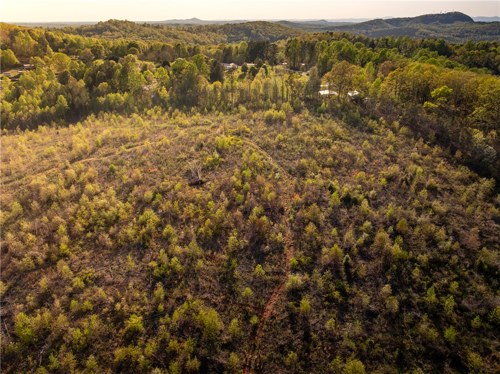 00 Hood Road, Easley, South Carolina image 27