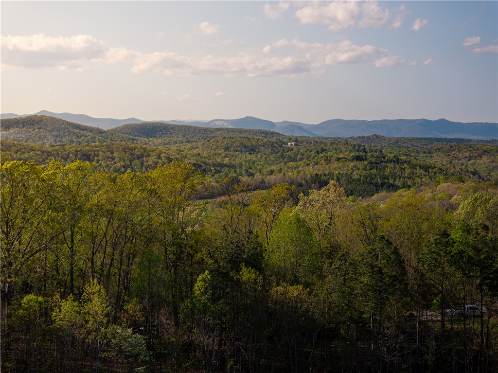 00 Hood Road, Easley, South Carolina image 34