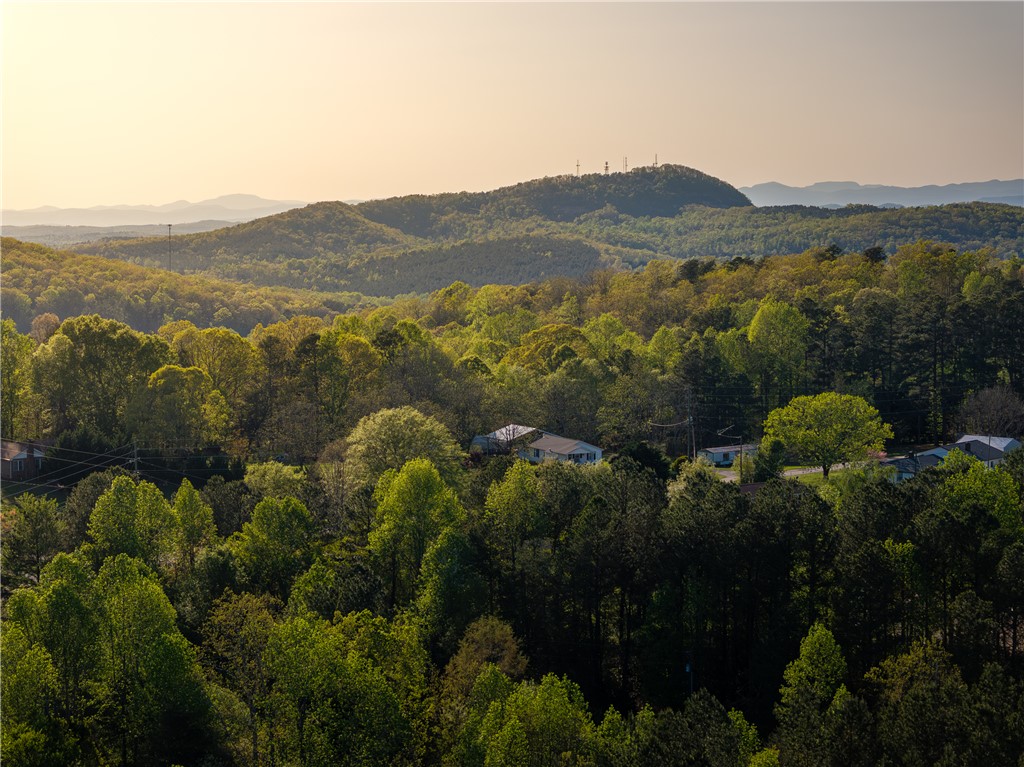00 Hood Road, Easley, South Carolina image 33