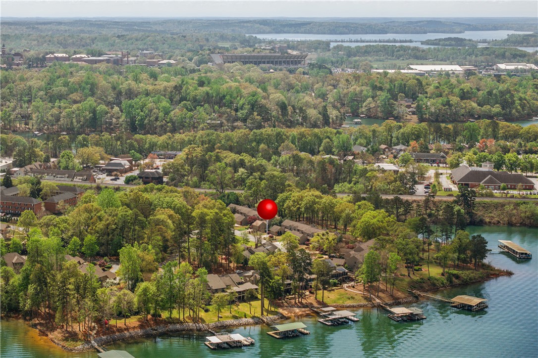 117 Riverpoint Drive, Clemson, South Carolina image 5