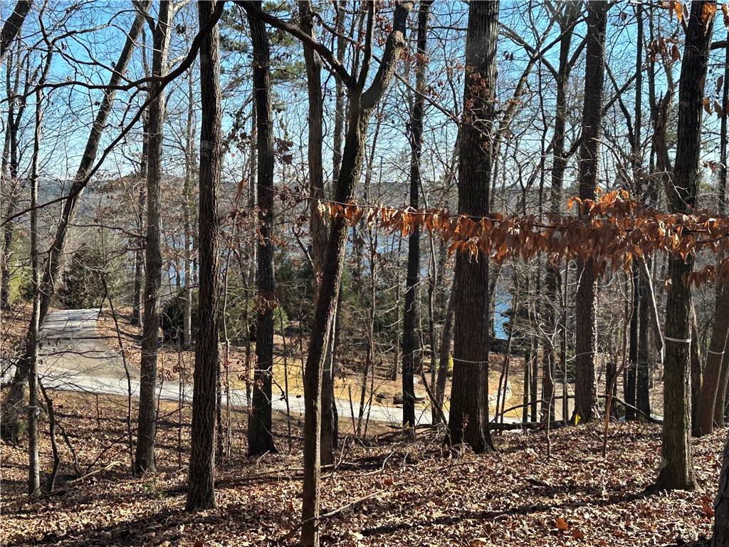 106 E Fort George Way, Sunset, South Carolina image 2