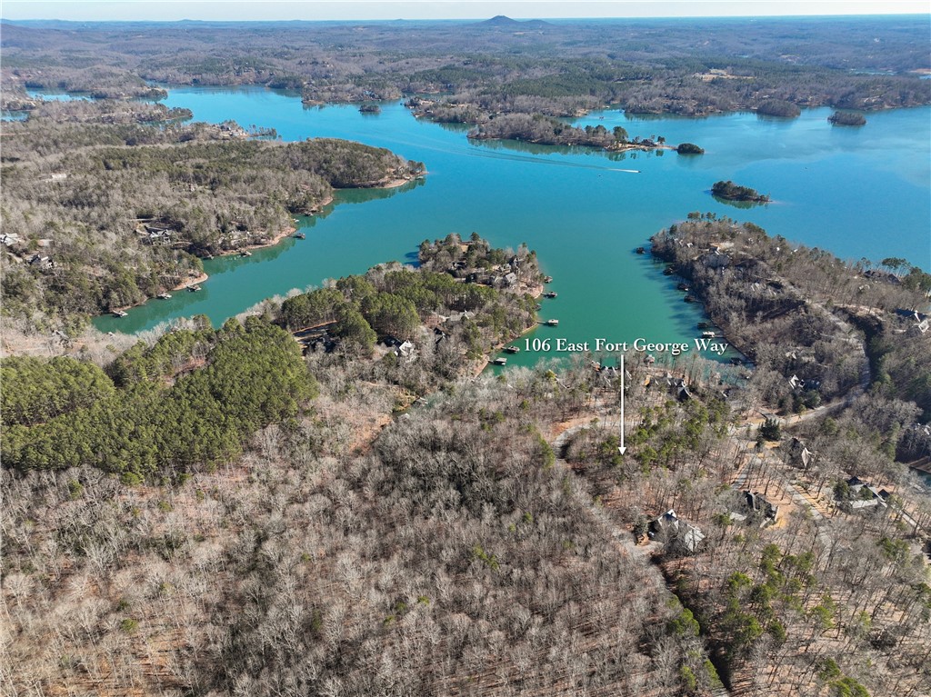 106 E Fort George Way, Sunset, South Carolina image 6