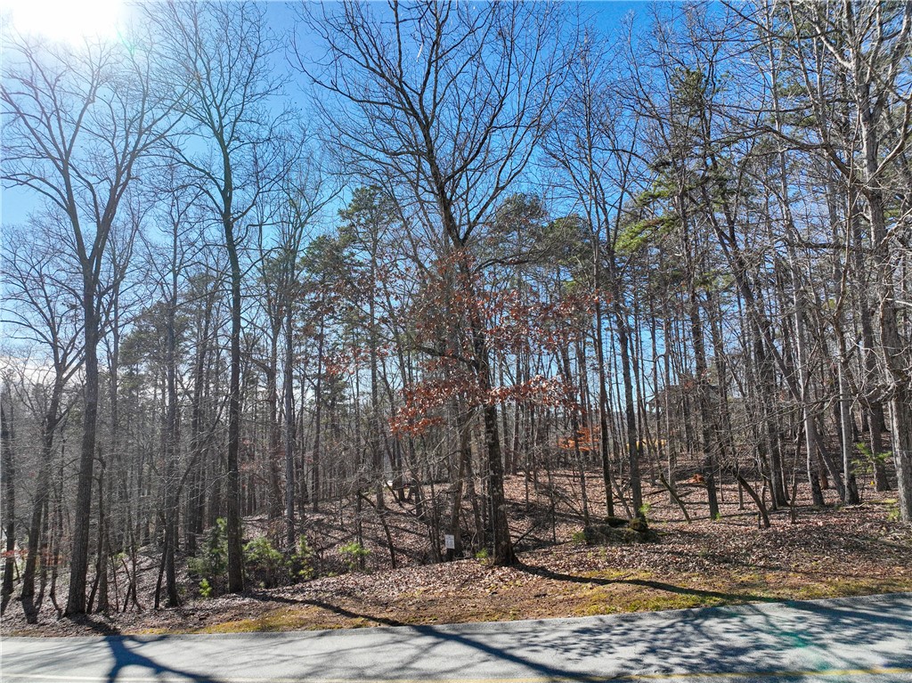 106 E Fort George Way, Sunset, South Carolina image 5