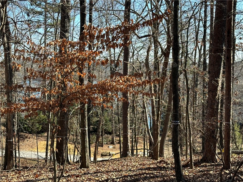 106 E Fort George Way, Sunset, South Carolina image 4