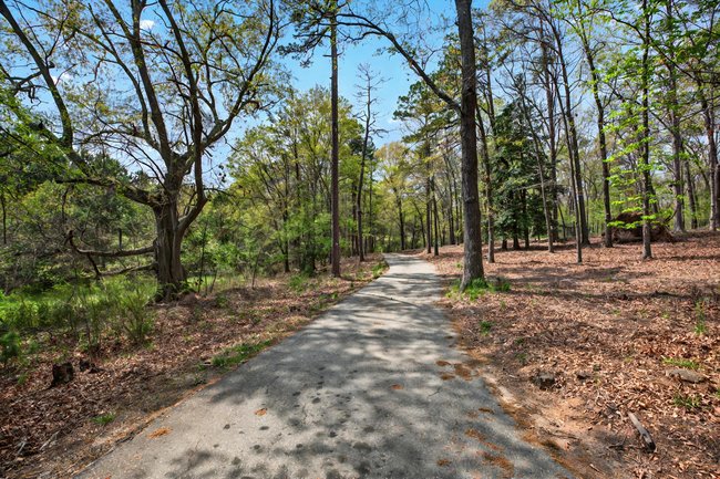 2916 Rambling Path, Anderson, South Carolina image 4
